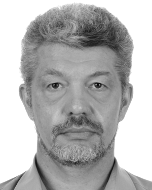 D. I. Karpov