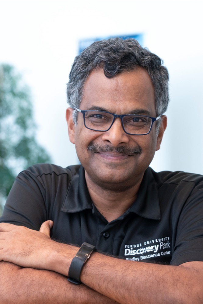 Ramaswamy Subramanian