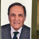 Amr M Abdel-Hakim