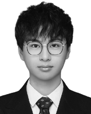 L. Li
