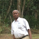Tesfaye Alemu Tenkegna