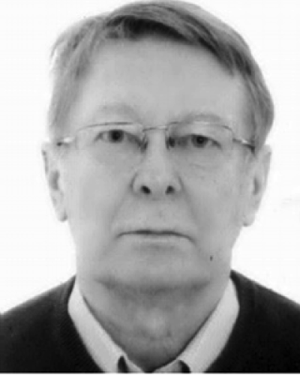 G. I. Sukhinin