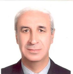 Hadi Salamati