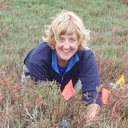 Joanna L Nelson
