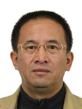 Shaowei Lu