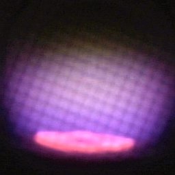 T. Lamara