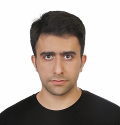 Amin Ghiasi