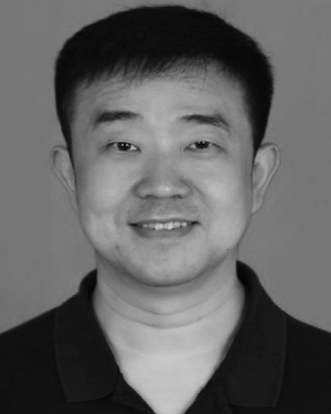 Qingli Ma