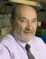 Nelson Fausto