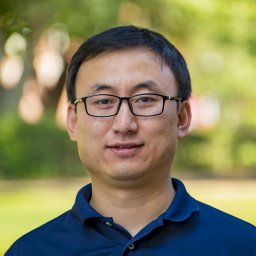 Yang Zhao