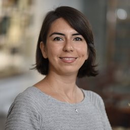 Ayse Sena Mutlu