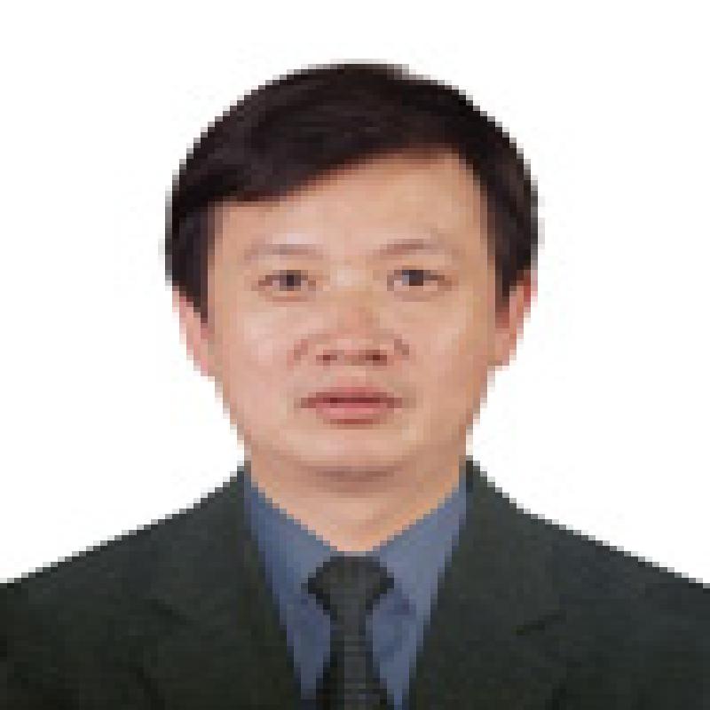 Tiequn Huang