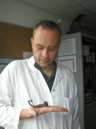 Patrick Laurenti