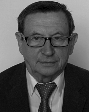 Yu. B. Golubovskii
