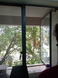 Samita Basu