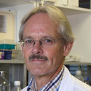 Primus-E. Mullis