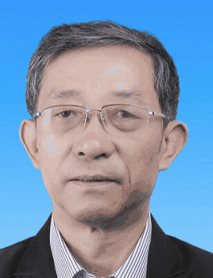 Zhiqi Zhang