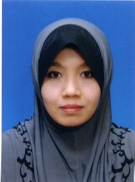 Mohd. Razi Ismail