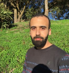 Ahmed H. Mahmoud