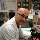 Albert Martinez