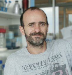 Manavella Pablo A