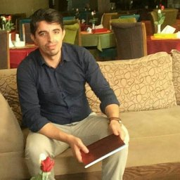 Reza Alayi
