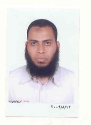 Mahmoud Abd-Elkareem