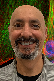 Michael J Clemente