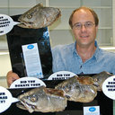 Michael A. Shane