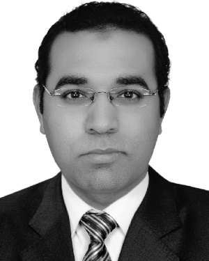 Emad M. AHMED