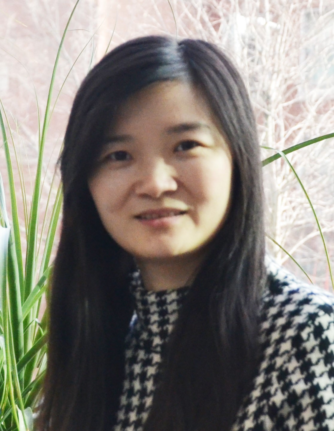 Qiaomei Fu