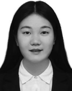 Mengqi Chen