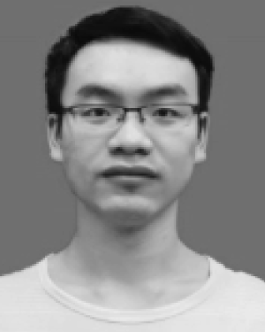 Yang  Xin