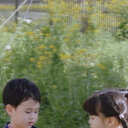Wenfei Liu