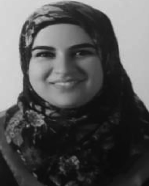Heba Abdel-Nabi