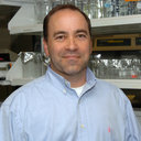 Scott Collier