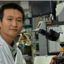 Yongzhong Zhang