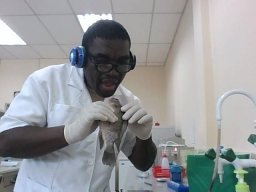 Oster Francis Nwachi
