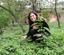 Natacha P. Chacoff