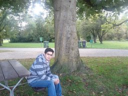 Mehdi Andisheh Tadbir