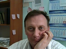 V. V. Voronin