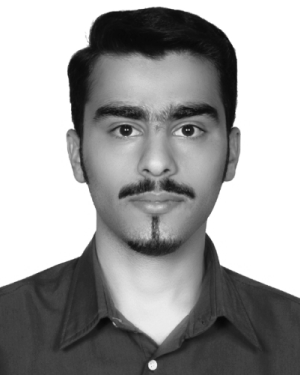 Seyyed Mohammad Sadegh Ghiasi