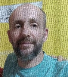 Martin C Abba