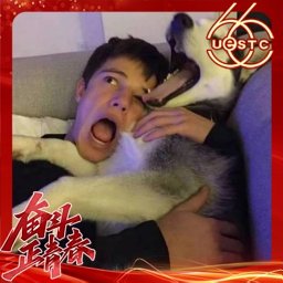 Xinghuan Chen