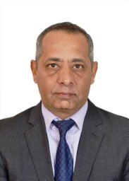 Naser Almanaseer