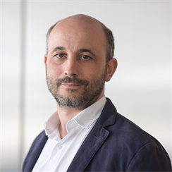 Gilles Lubineau