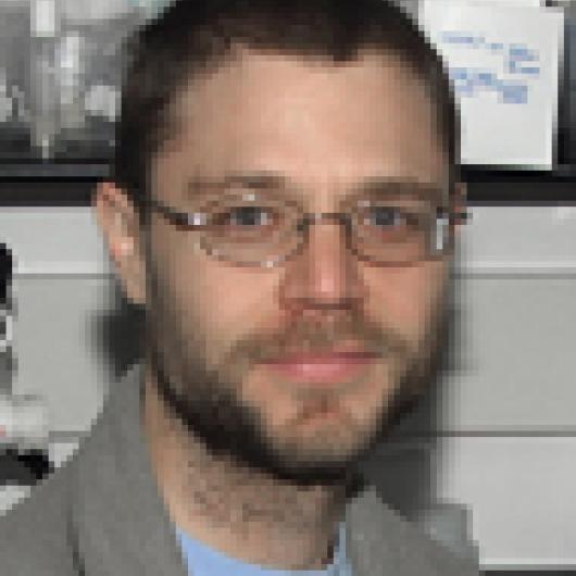Joshua Krupp