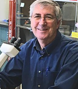 Edward E. Walsh