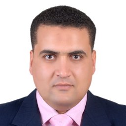 Mohamed A Abouelatta