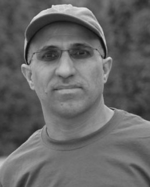 Alaa A. R. Alsaeedy